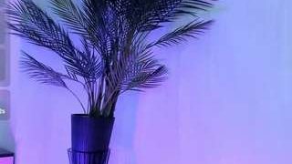 Adult webcam host bbyanna at   Camsoda