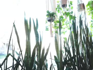 Jackandjill — Nude Cam Girl on Chaturbate Adult webcam host jackandjill at Chaturbate