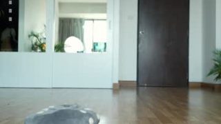 Sigmasian — XXX Stream on Chaturbate — Chaturbate