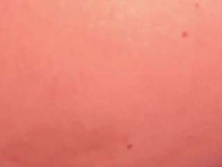 Sofievanss sofievanss — Camsoda