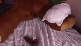 Bella__donne — Private Show on Chaturbate — Chaturbate